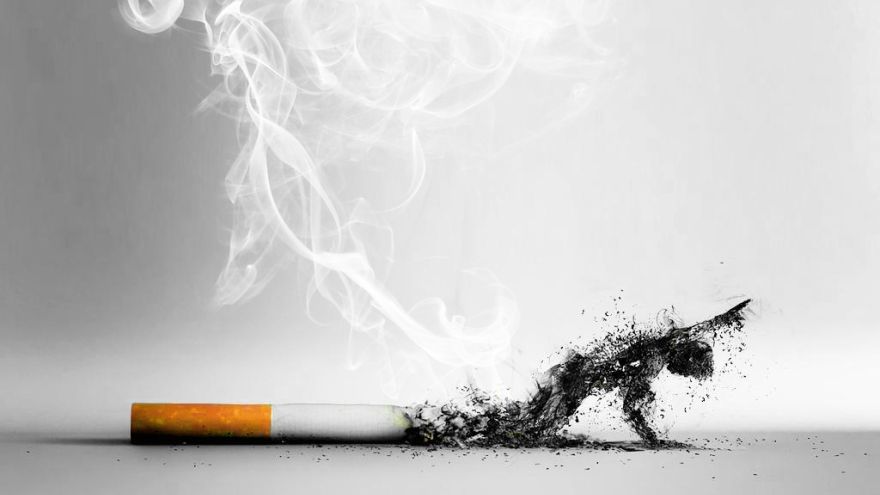 Papierosy Psycholog, goździki i… konopie – współczesne metody w walce z papierosem