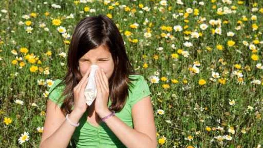 Leczenie alergii Sezon na alergię