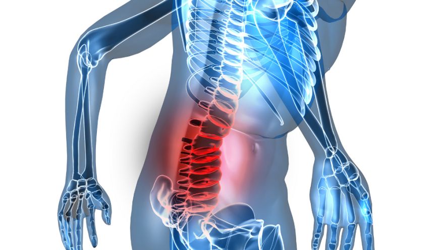 ćwiczenia na kręgosłup Skąd się biorą bóle kręgosłupa?