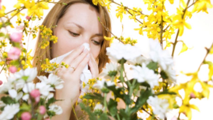 Katar sienny Alergia czy grypa?