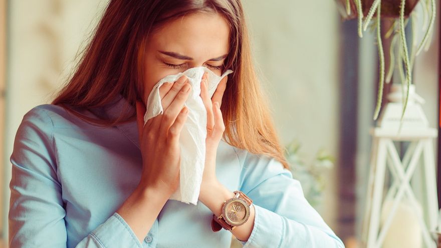 Alergia Zapobiegawczy jak... alergik? 5 prostych nawyków, które możesz wprowadzić, by złagodzić objawy alergii