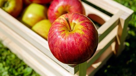Czy warto stosować ocet jabłkowy? 5 najlepszych powodów