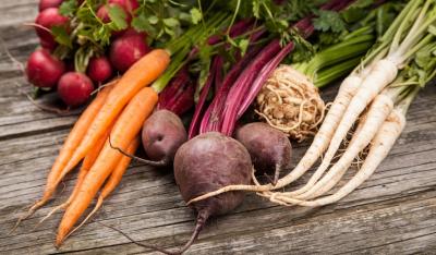 Warzywa korzeniowe i ich wykorzystanie w diecie cukrzycowej 