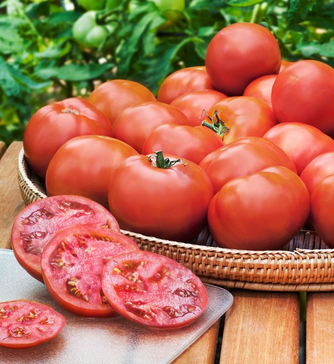 Dlaczego warto jeść pomidory?