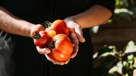 Przepis na rozgrzewający krem z pomidorów