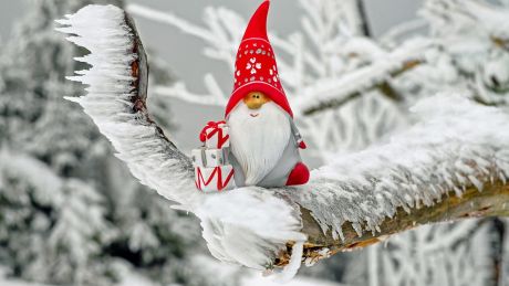 Co Mikołaj je na obiad, czyli kulinarne sekrety Finlandii