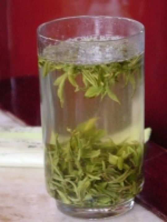 Dobroczynny wpływ zielonej herbaty
