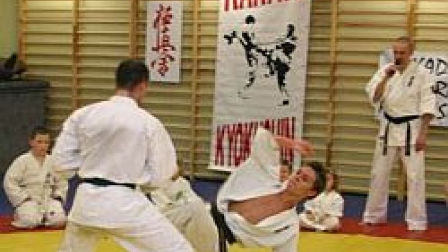 Sztuki walki Zimowa Akademia Karate