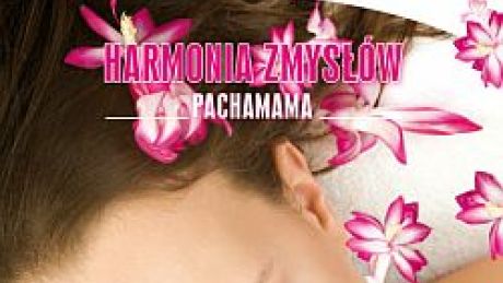 Harmonia Zmysłów &#8211; Pachamama