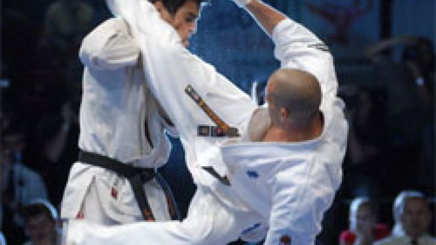 Walka Otwarte Mistrzostwa Świata Karate Kyokushin
