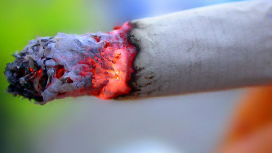 Jak rzucić palenie Dziurawiec dla palaczy