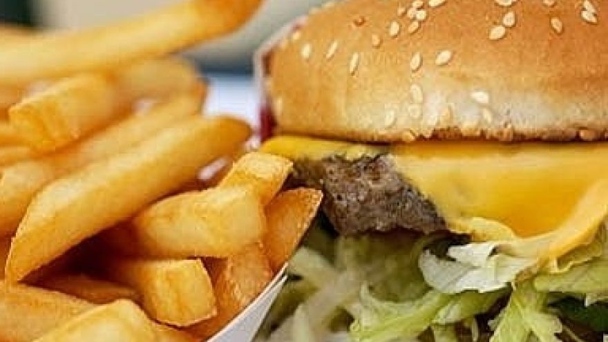 Hamburger Fast food story
