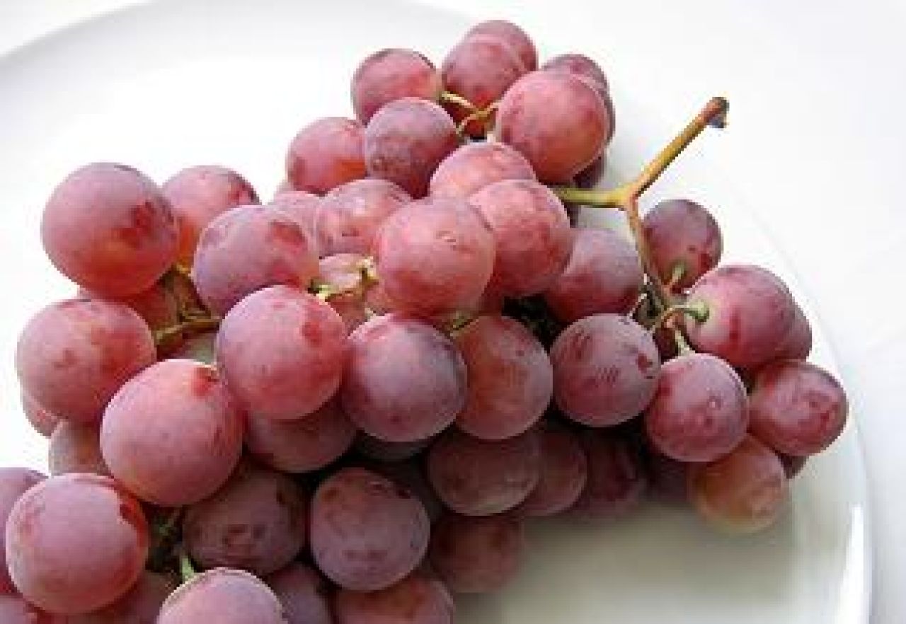 Moc z winogron