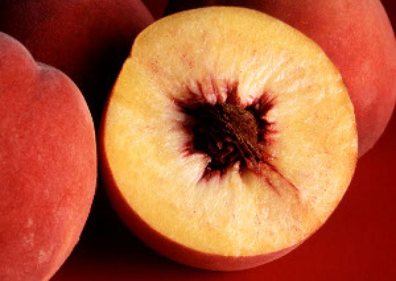 Brzoskwinie – perskie jabłka