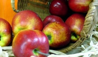 Jabłko – rajski owoc