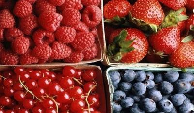 Międzynarodowy Dzień Owoców