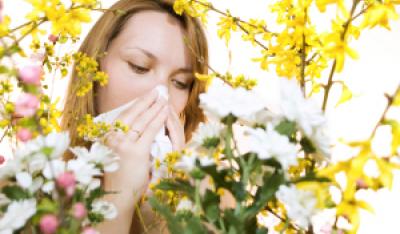 Alergia czy grypa?