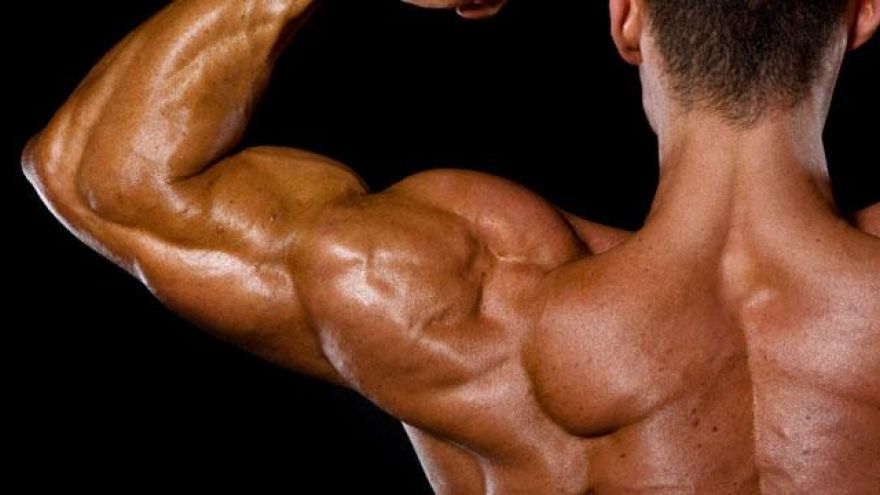 Jak szybko zwiększyć obwód bicepsów?
