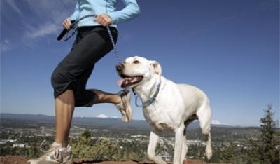 9 zdrowotnych powodów, by adoptować psa ze schroniska