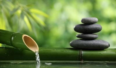 Zen, czyli uniwersalna siła spokoju