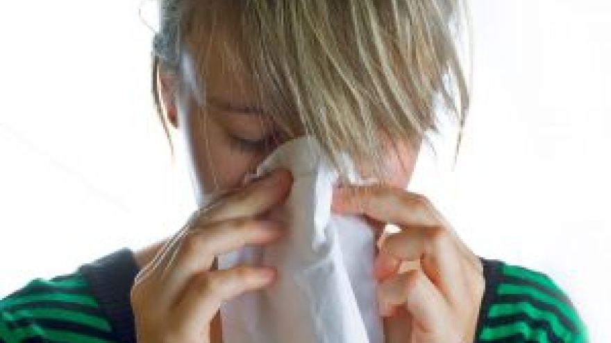 Astma Roztocza – mikroskopijni wrogowie