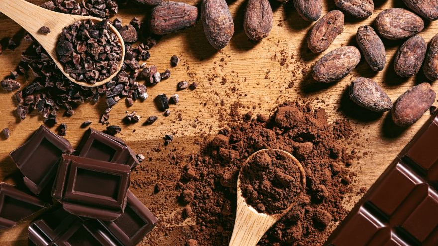 Fitlight Innowacja w świecie słodyczy: zdrowsza czekolada z wykorzystaniem całego owocu kakaowca