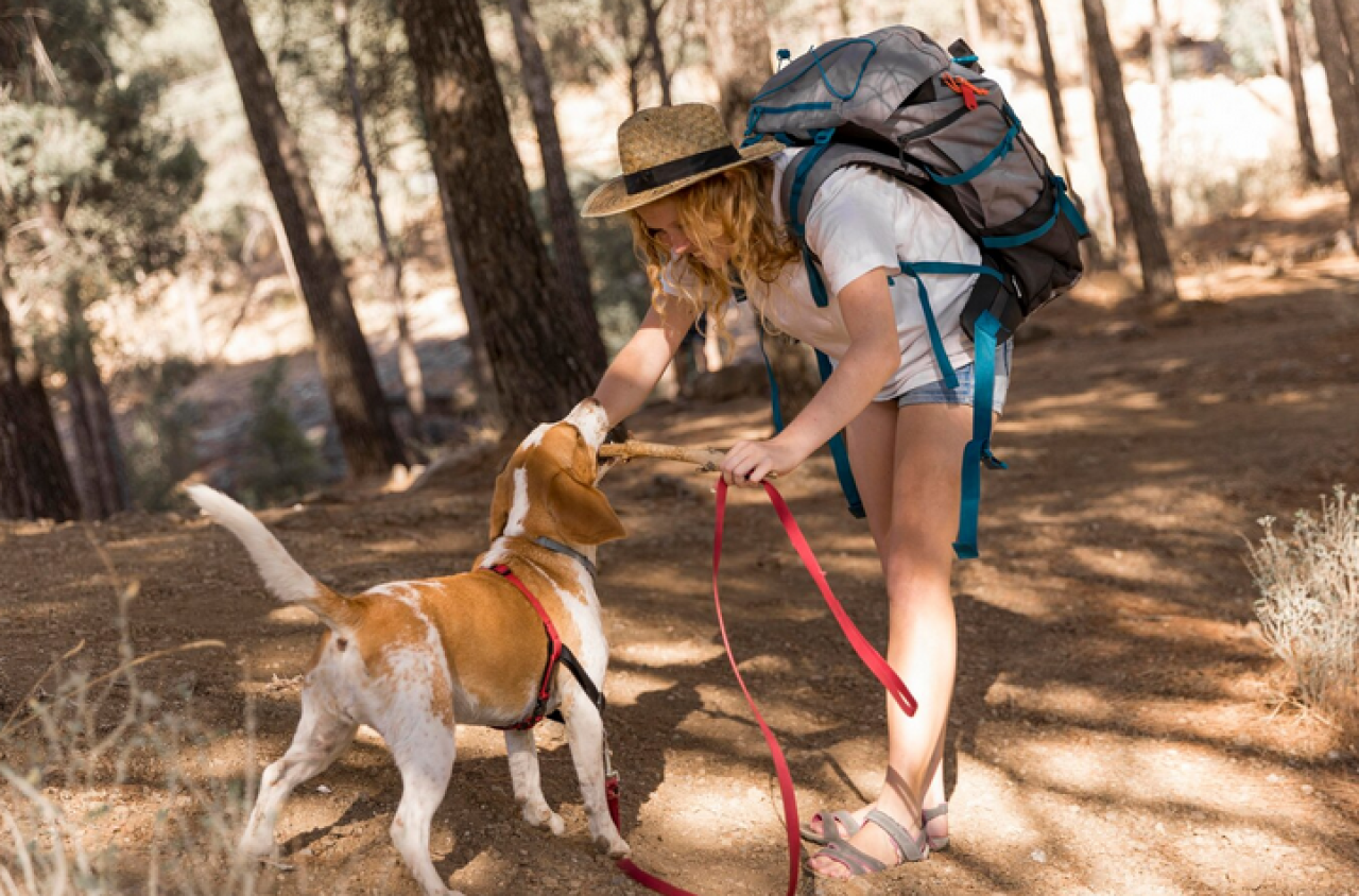 Hiking z psem - o czym pamiętać?