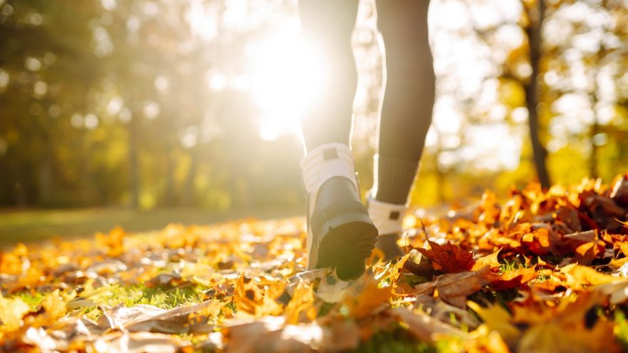 Fit biz Wyzwanie Healthy Cities trwa! Każdy uczestnik to jedno posadzone drzewo