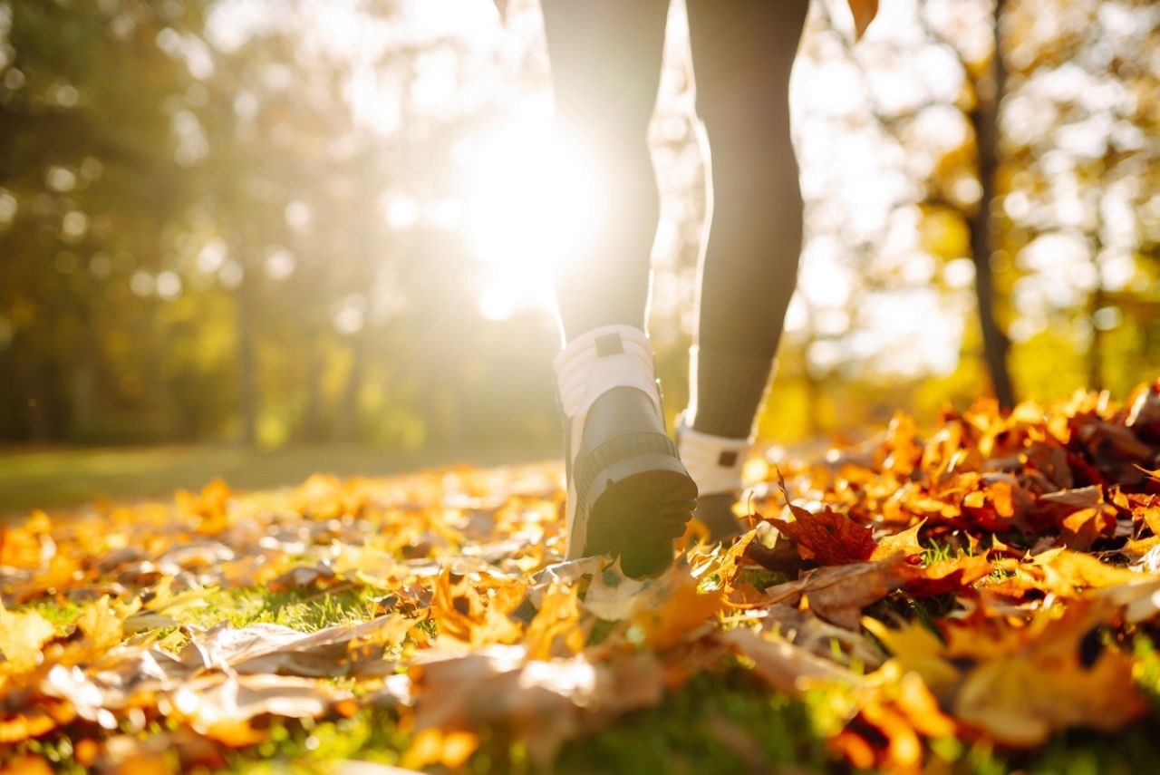 Wyzwanie Healthy Cities trwa! Każdy uczestnik to jedno posadzone drzewo