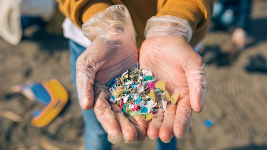 Fit light Mikroplastik w jedzeniu – jak wpływa na Twoje zdrowie?