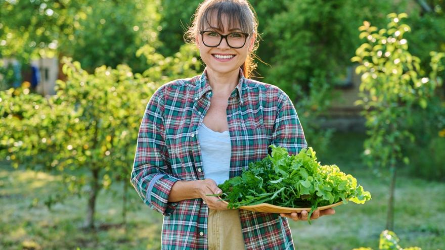 Wywiad Euroliść – prawdziwe eko czy chwyt marketingowy? Ekspertki rozwiewają wątpliwości