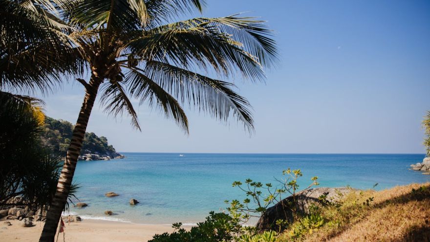 Wywiad Dziecko bezpieczne w tropikach