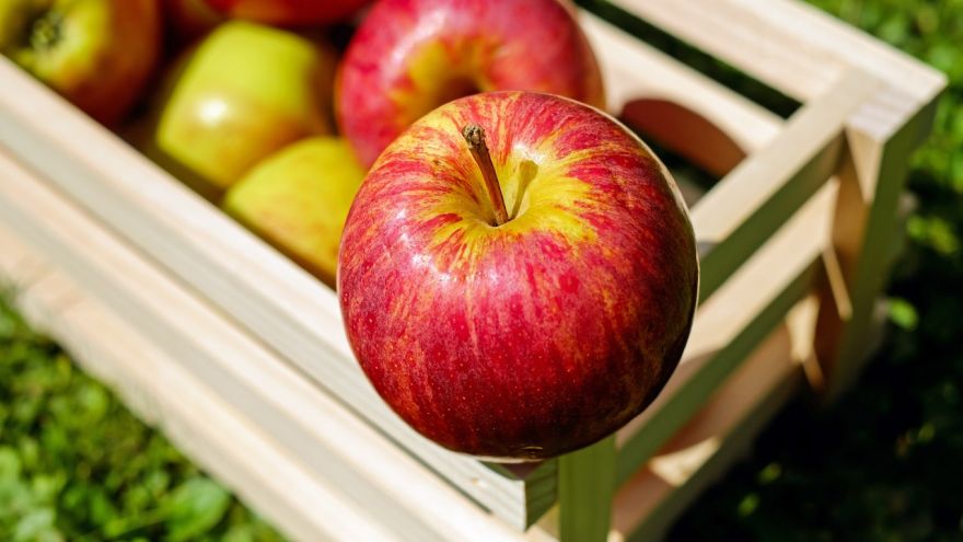 Jabłka Czy warto stosować ocet jabłkowy? 5 najlepszych powodów