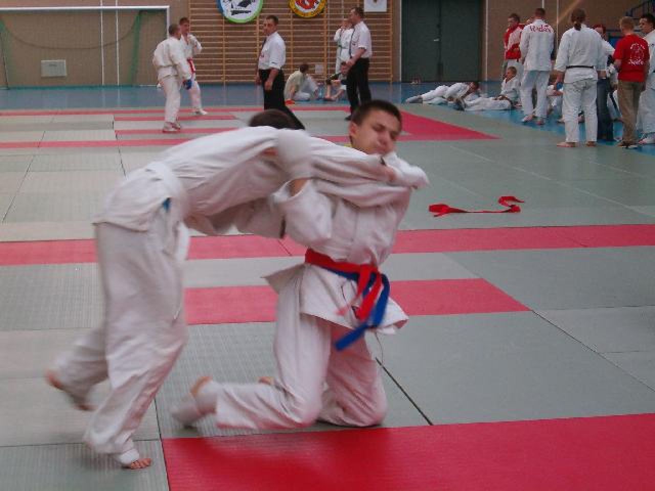 Brazylijskie Ju-Jitsu