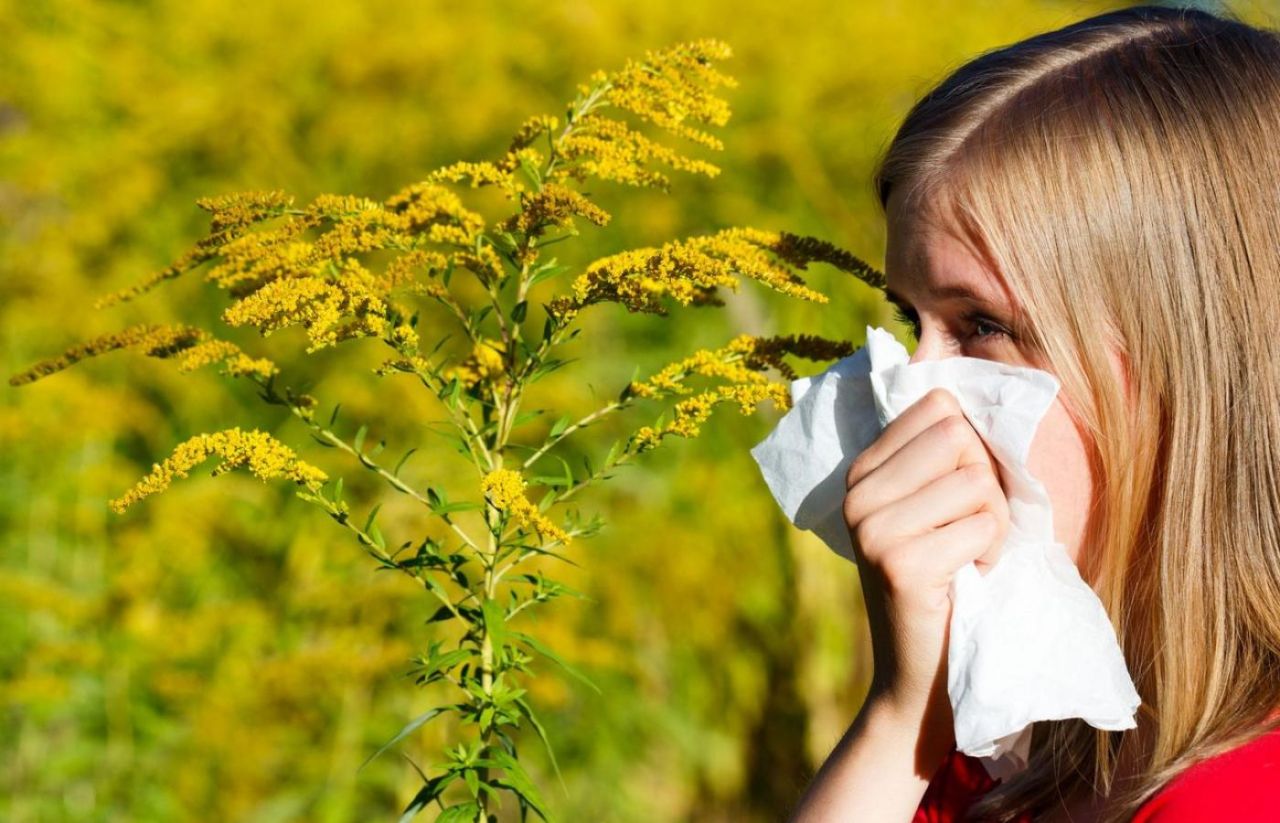 Jak poradzić sobie z wiosenną alergią ?